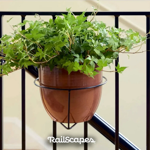 💖Hot 48% OFF🌹Plant Clip – Create Beautiful Floating Garden Displays 🌿