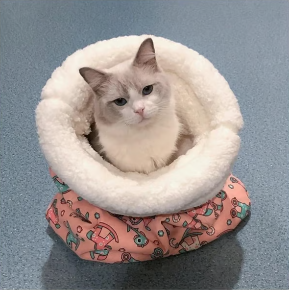 🔥 🐾Cozy Pet Nest for Cats and Dogs