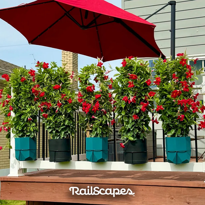 💖Hot 48% OFF🌹Plant Clip – Create Beautiful Floating Garden Displays 🌿